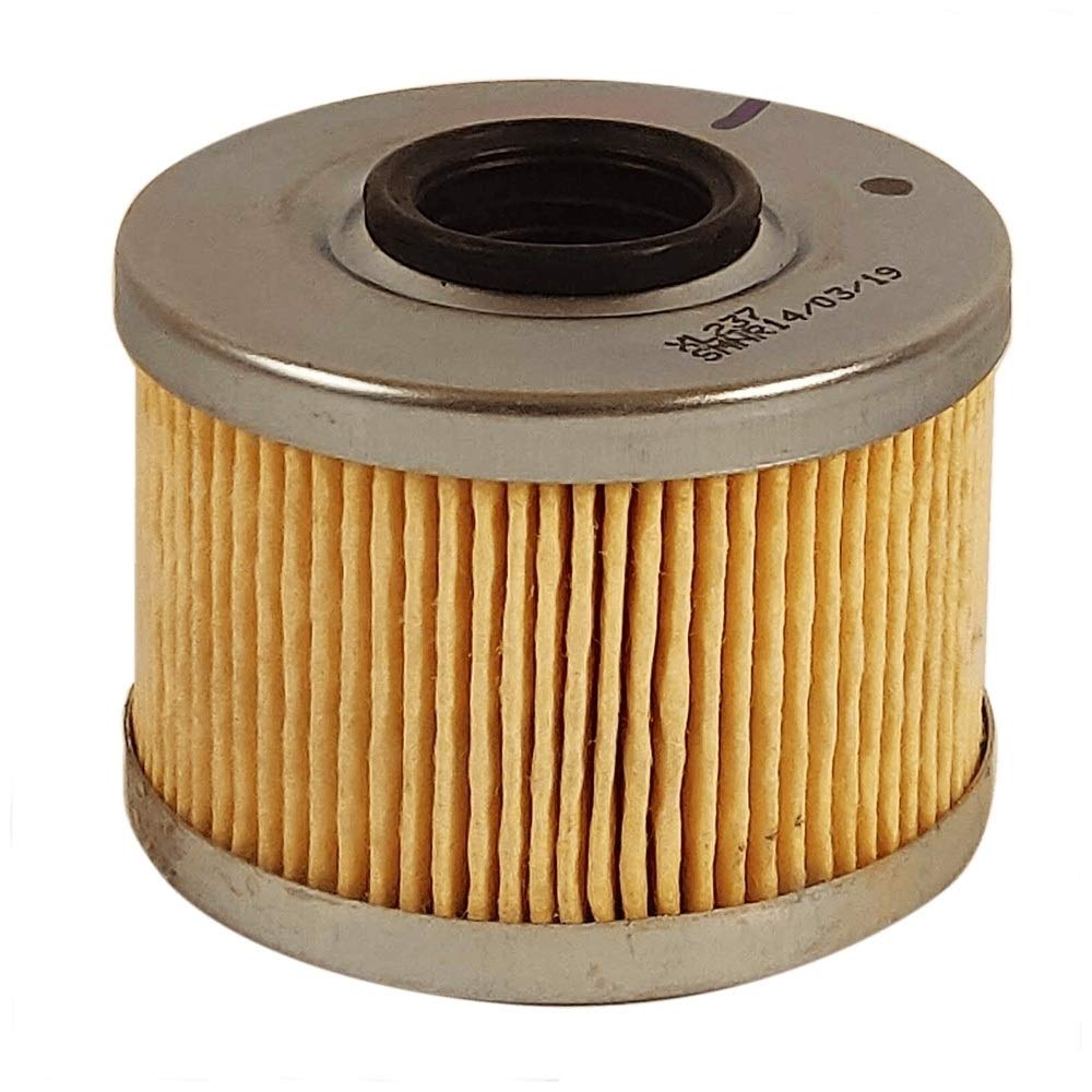 Himalayan 450 Oil Filter — OEM 574297